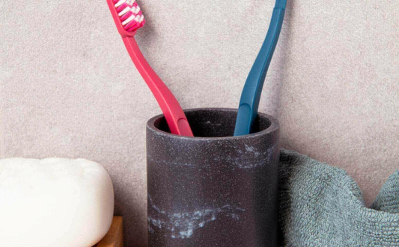 Toothbrush with replaceable heads