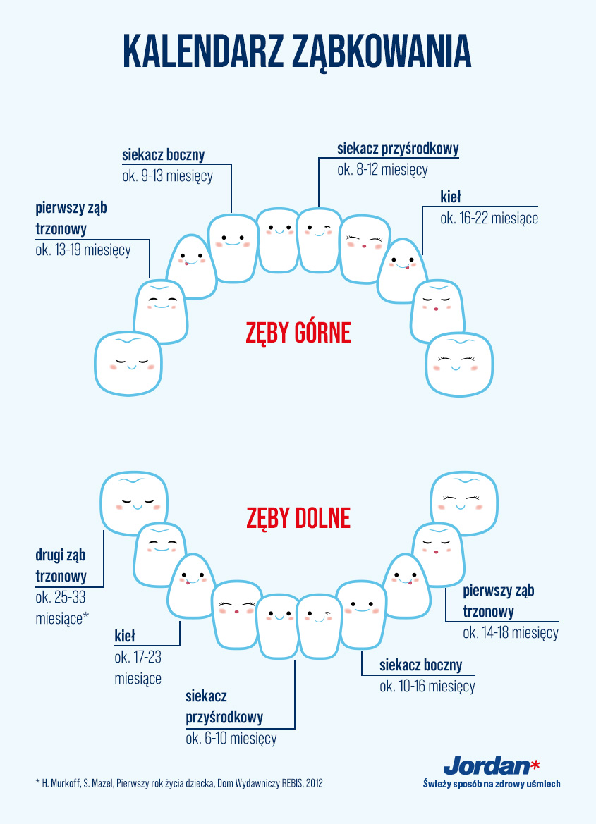 jordan-zabkowanie-u-niemowlat-infografika-1